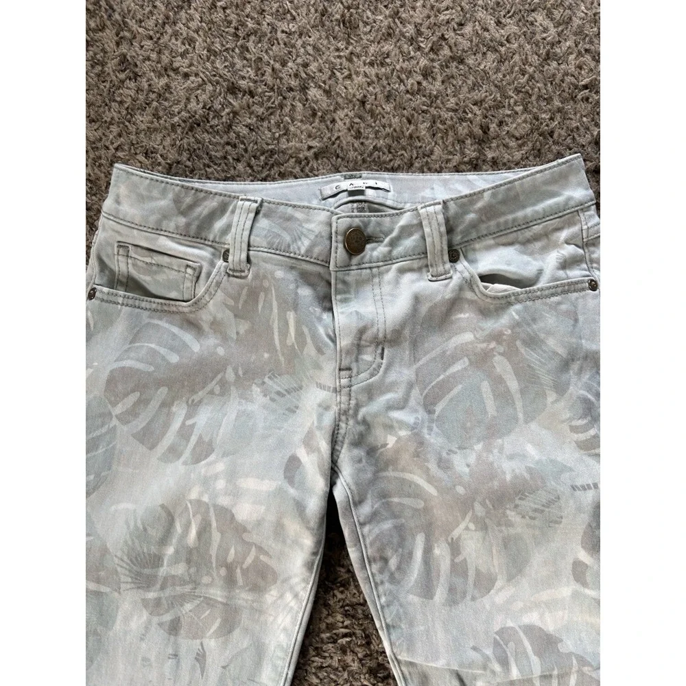 CAbi paradise palm